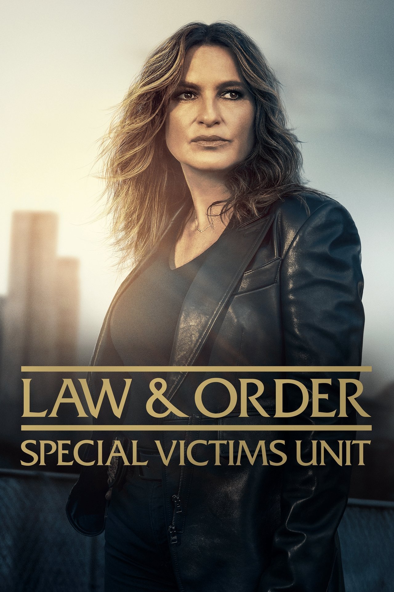 Affiche de série policière